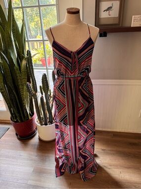 Express Multicolor Striped Maxi Dress in Pink and Blue